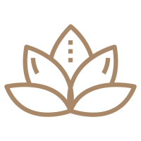 lotus-flower